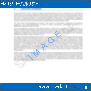 市場と産業調査レポートのイメージ